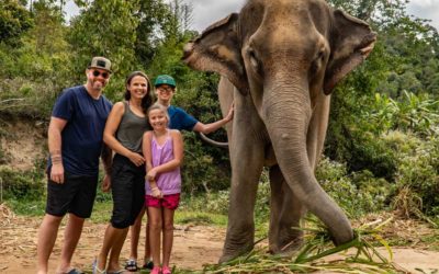 #19 – A Day With Elephants in Thailand